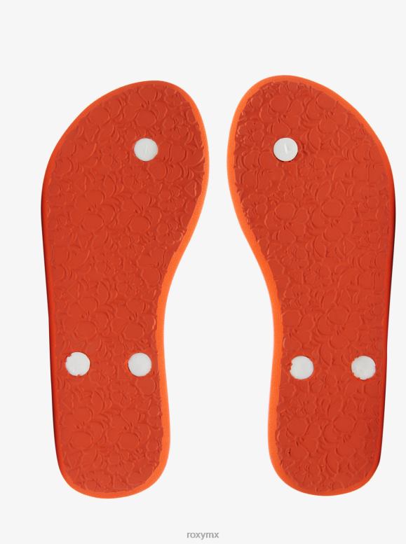 Roxy mujer chanclas portofino 68XP01435