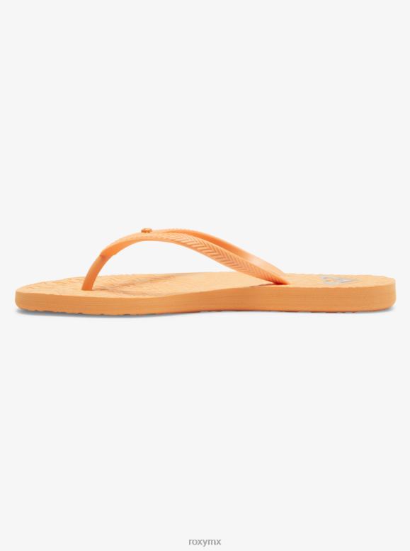 Roxy mujer sandalias antillas 68XP01238